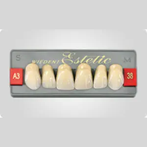 Wiedent dientes 3 capas